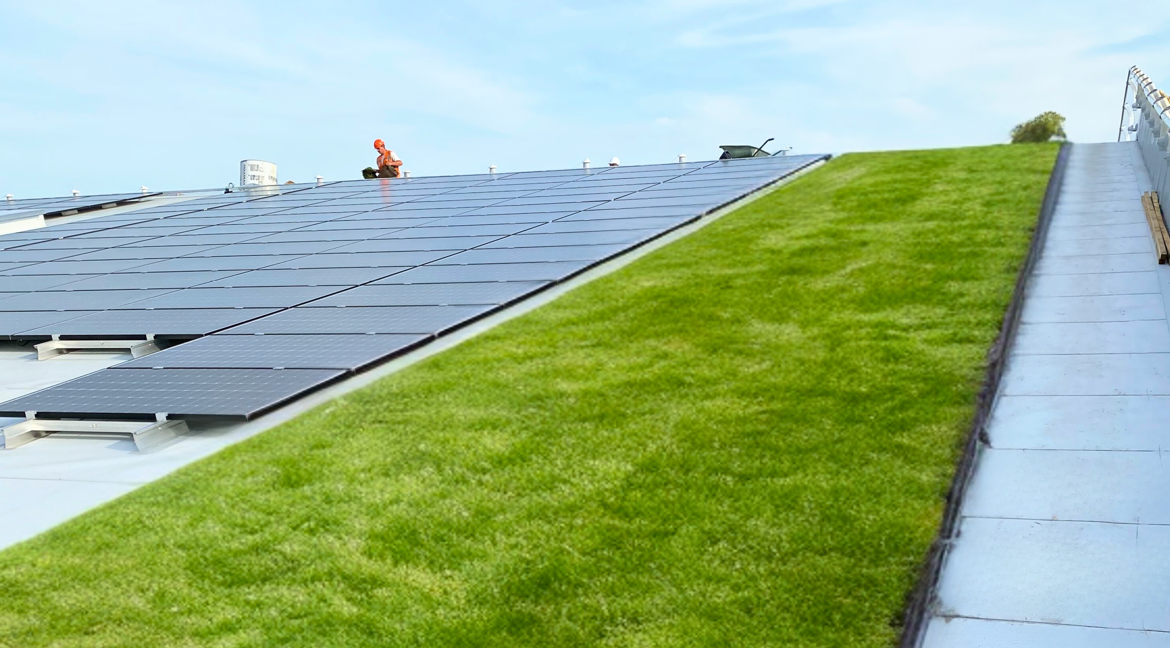 Végétalisation des toitures, une spécialité d'Etancoba, entreprise de bardage dans la Loire (42)