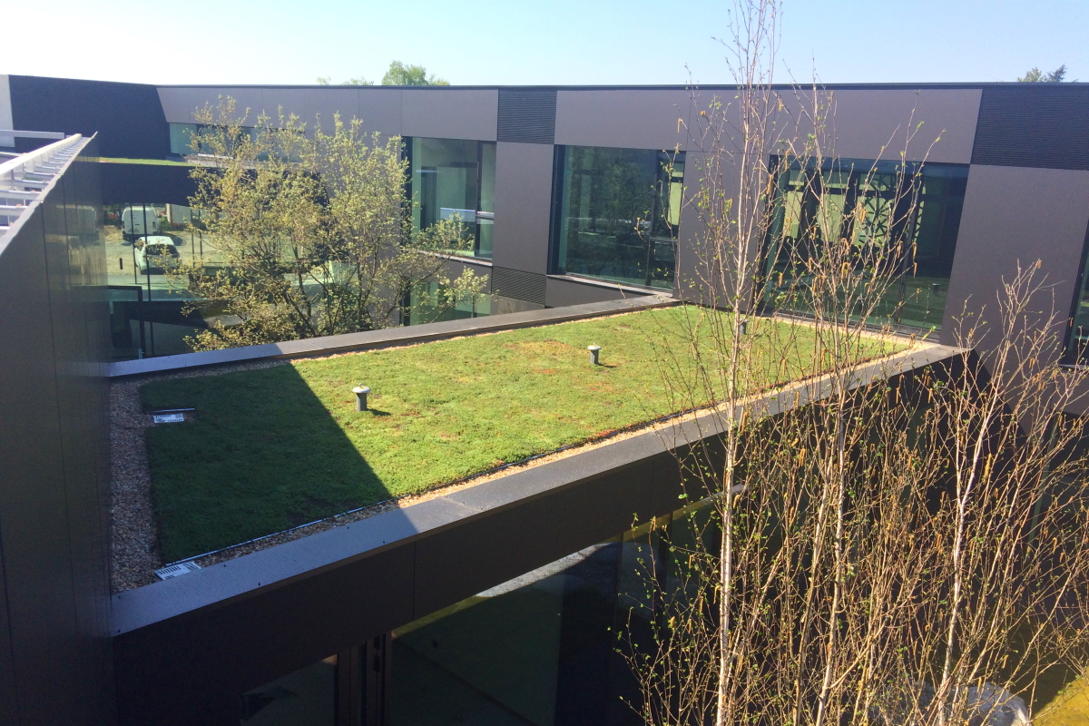 Construction siège social bureau et bâtiment